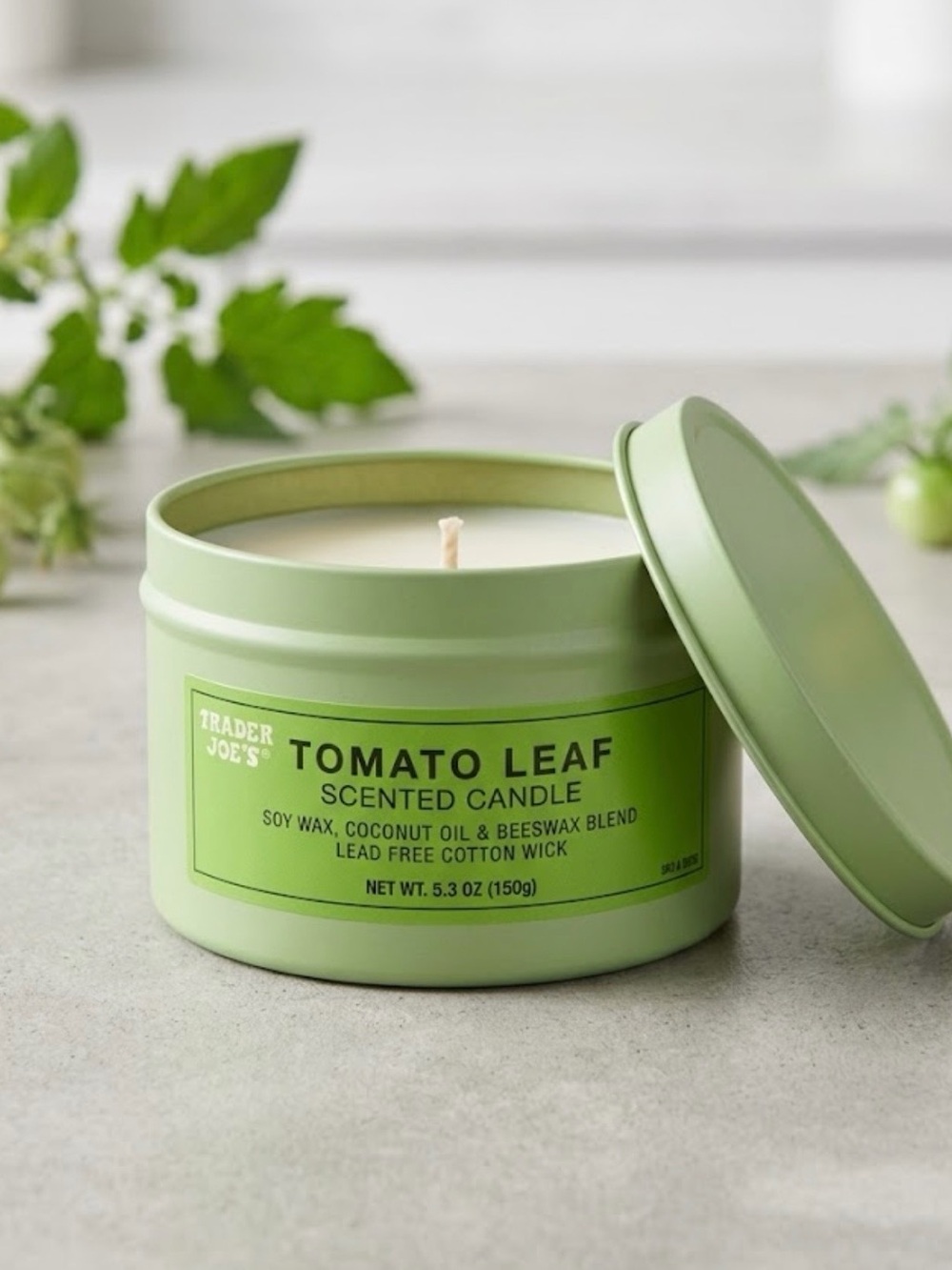 Trader Joe’s Tomato Leaf Scented Candle - New (NWT)